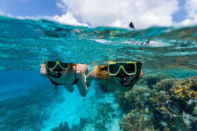 Underwater Guided Snorkeling Adventure in Bonaire - The Sum Up