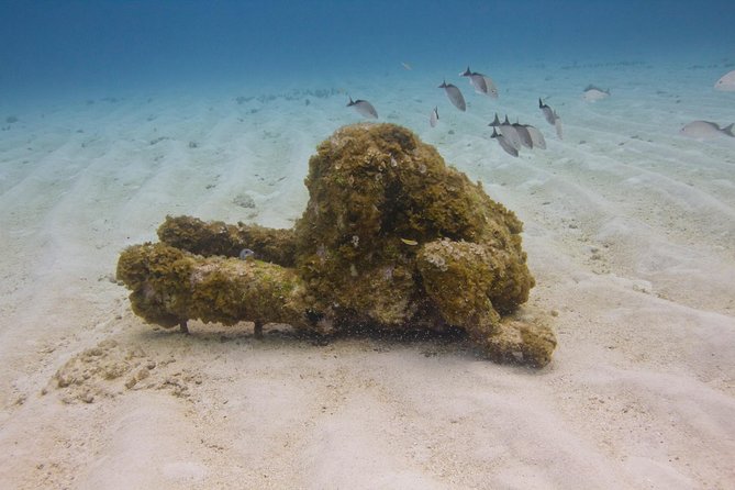 UNDERWATER MUSEUM CANCUN Diving for Beginners 1 Dive - Experience With Ticket - Diving Experience Details
