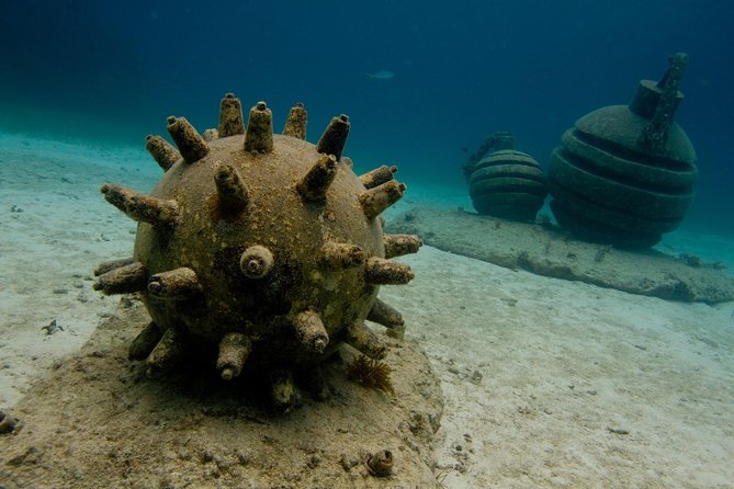UNDERWATER MUSEUM CANCUN Diving for Beginners 1 Dive - Experience With Ticket - Booking and Reservation