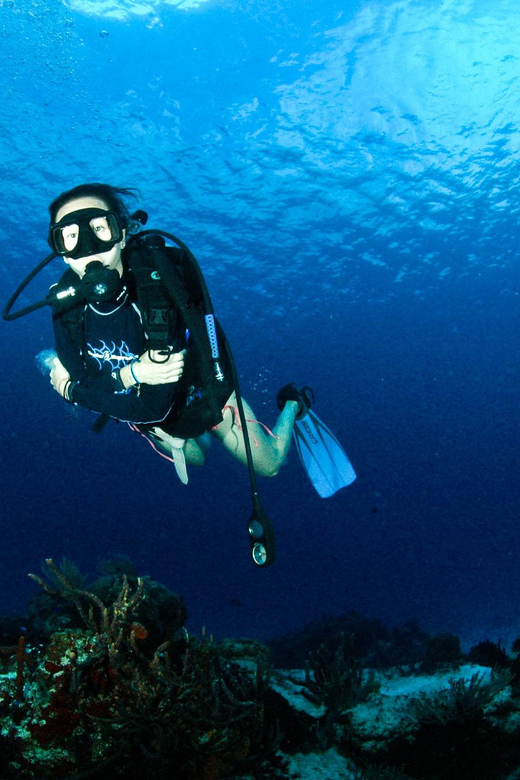 Underwater Museum : Discover Scuba Diving Experience - Key Points
