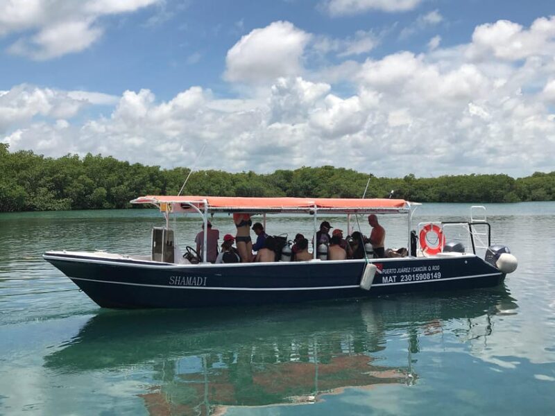 Underwater Museum : Discover Scuba Diving Experience - Diving Experience Highlights