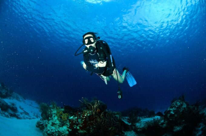 Underwater Museum : Discover Scuba Diving Experience - Frequently Asked Questions