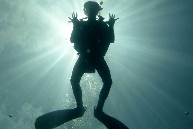 Underwater Scooter Dive (Certified Divers Only) Makena Wailea - Additional Details