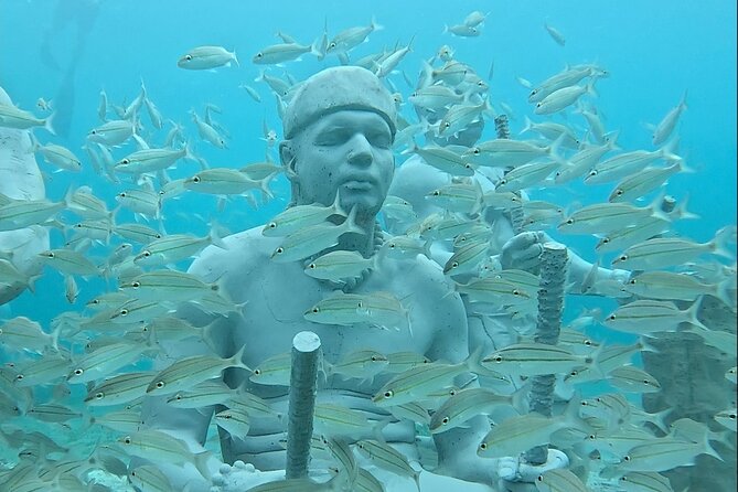 Underwater Sculpture Park Snorkel Adventure - Concerns and Improvements
