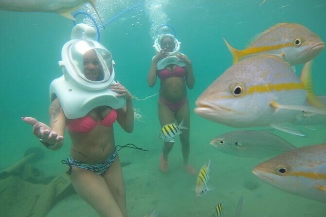 Underwater Sea Trek in San Juan: Explore Beneath the Waves - The Experience: What to Expect from Start to Finish
