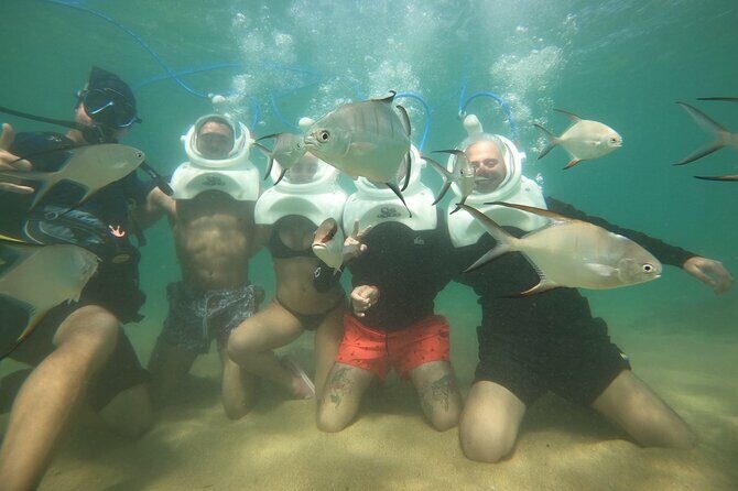 Underwater Sea Trek in San Juan: Explore Beneath the Waves - The Sum Up