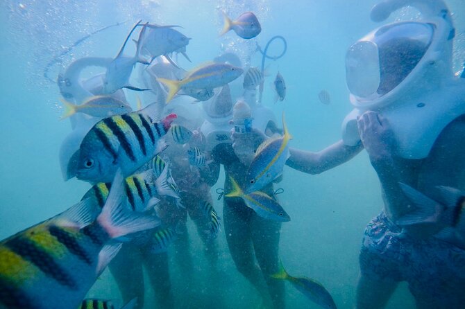 Underwater Sea Trek in San Juan: Explore Beneath the Waves - Professional Supervision and Safety