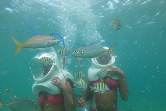 Underwater Sea Trek in San Juan: Explore Beneath the Waves - Participant Communication and Comfort