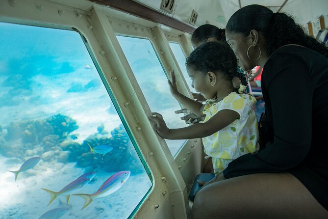 Underwater Seaworld Explorer Experience in Curaçao - Rare Marine Life Sightings