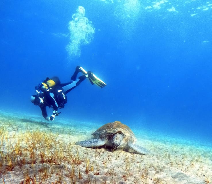 Underwater Tenerife - Individual Scuba Diving Experience - Health and Safety Restrictions