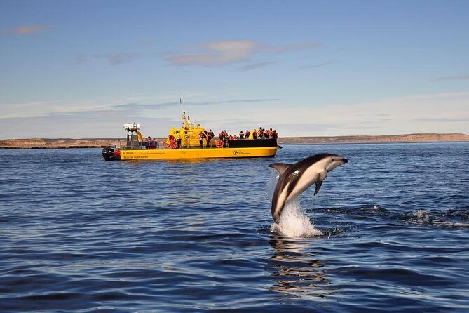 Underwater Whale Watching in Puerto Piramides - Overview of the Whale-Watching Cruise