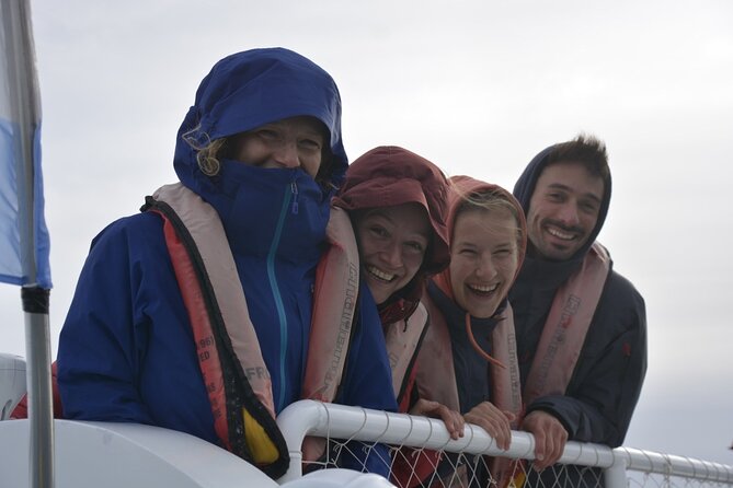 Underwater Whale Watching in Puerto Piramides - Experiencing the Cruise From the Upper Deck