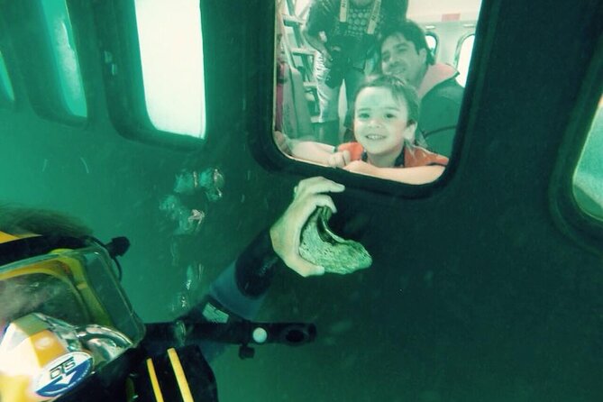 Underwater Whale Watching in Puerto Piramides - Seasonal Availability and Tour Details