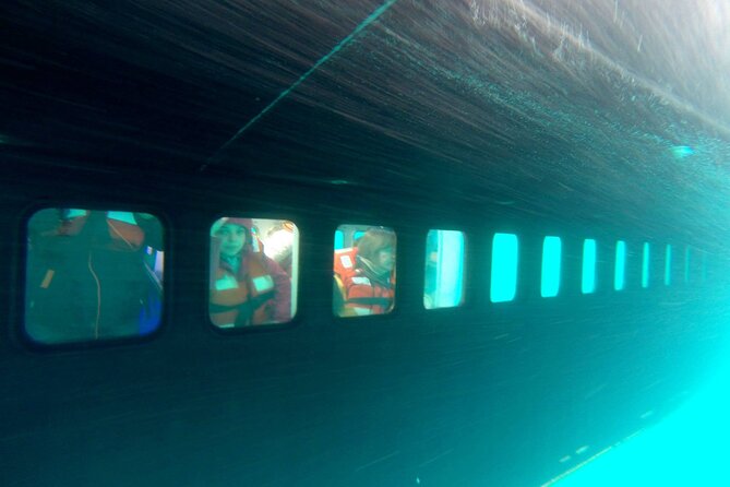 Underwater Whale Watching in Puerto Piramides - Booking Information and Policies