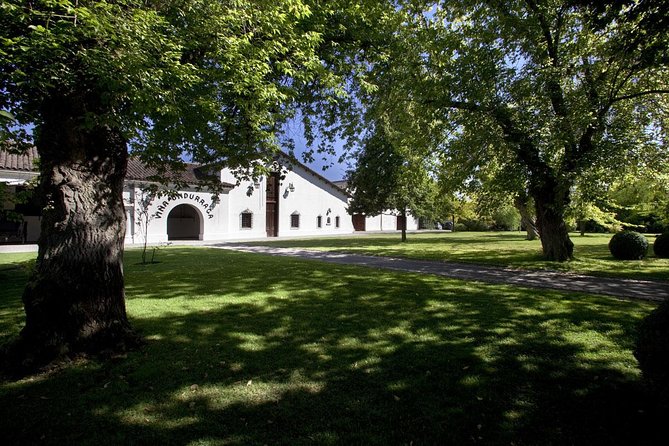 Undurraga Wine Tasting Tour From Santiago - Sampling Undurragas Wines