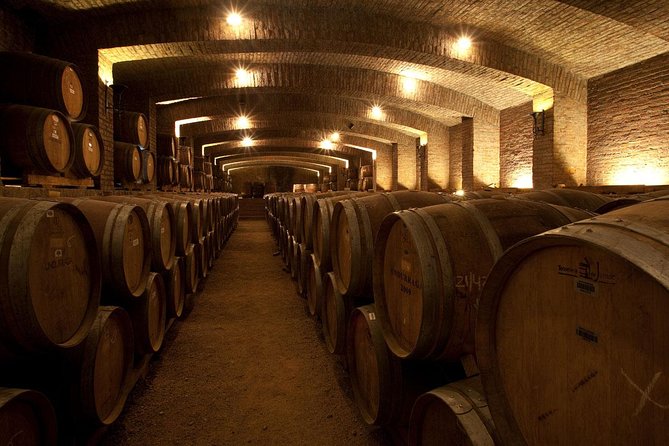 Undurraga Wine Tasting Tour From Santiago - Traveler Reviews and Highlights