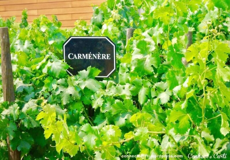 Undurraga Wine Tour - Key Points