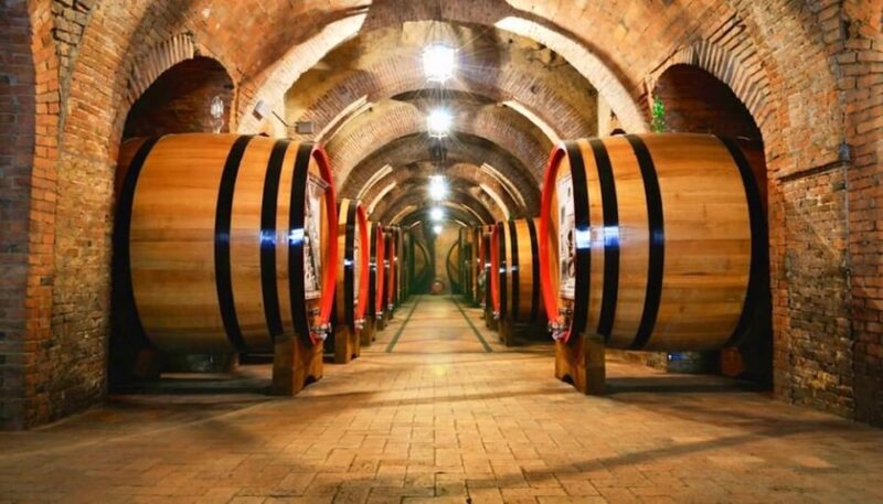 Undurraga Wine Tour - Pricing and Booking