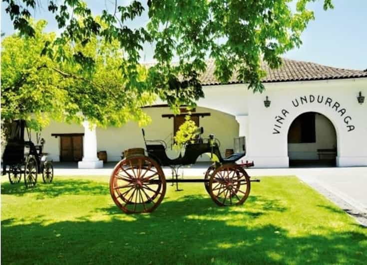 Undurraga Wine Tour - Souvenir and Memorabilia