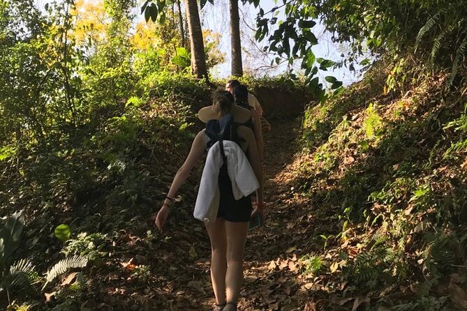 Unearth Indigenous Wisdom and Hike Through Lush Rainforest - Health and Accessibility