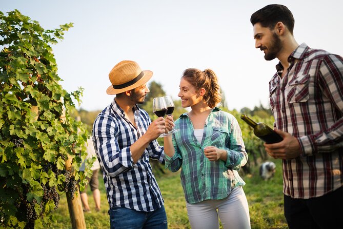 UNESCO Heritage and Wine Delights Private Tour From Bordeaux - Exclusive Private Tour Experience