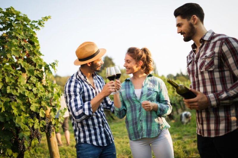 UNESCO Heritage and Wine Delights Private Tour From Bordeaux - Just The Basics