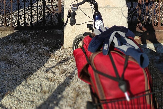 Unesco Palladian Villas in Vicenza: E-Bike Private Tour With Picnic and Aperitif - Navigating the UNESCO Heritage Route
