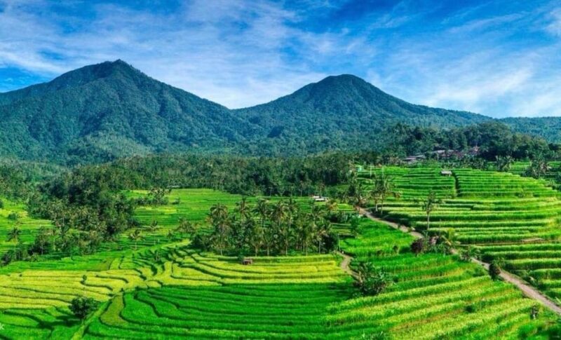 UNESCO: Tanah Lot, Ulundanu Temple, Monkey Forest-Jatiluwih - Itinerary Details