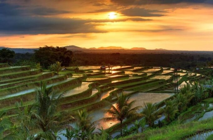 UNESCO: Tanah Lot, Ulundanu Temple, Monkey Forest-Jatiluwih - Experience Sacred Monkey Forest