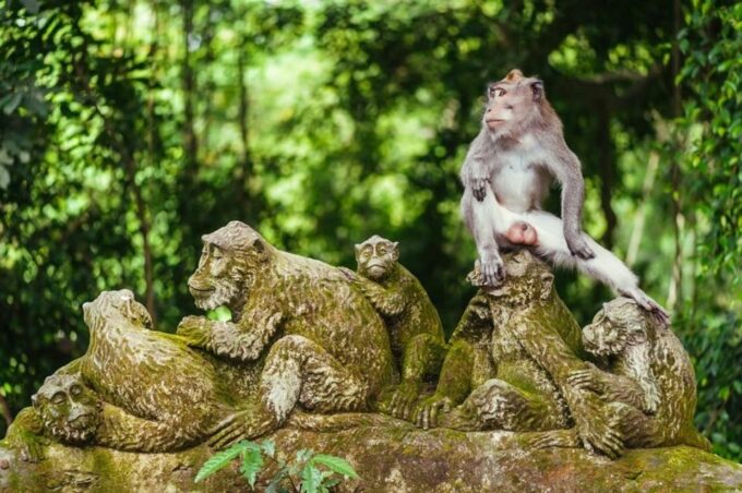 UNESCO: Tanah Lot, Ulundanu Temple, Monkey Forest-Jatiluwih - Frequently Asked Questions