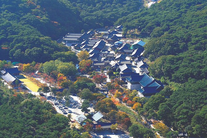 UNESCO Tongdosa Temple + Gourmet Eonyang Style Bulgogi Lunch - Included Tour Amenities