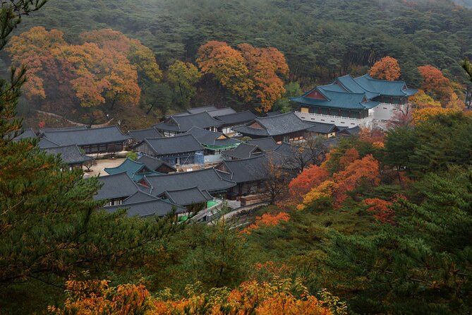 UNESCO Tongdosa Temple + Gourmet Eonyang Style Bulgogi Lunch - Customer Feedback Insights