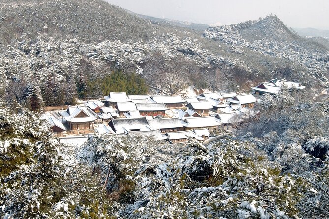 UNESCO Tongdosa Temple + Gourmet Eonyang Style Bulgogi Lunch - Preparing for Your Experience