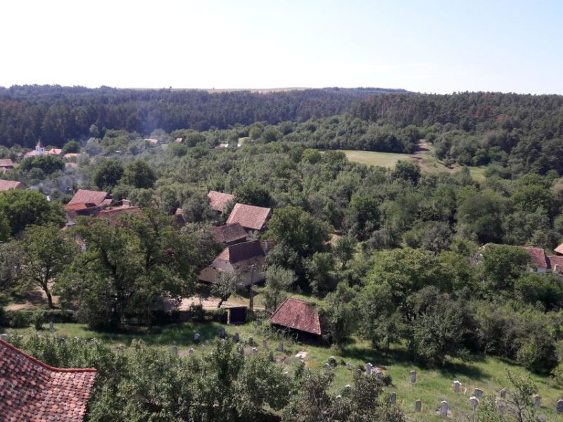 Unesco Tour: Sighisoara, Viscri, and Rupea From Brasov - Itinerary Details