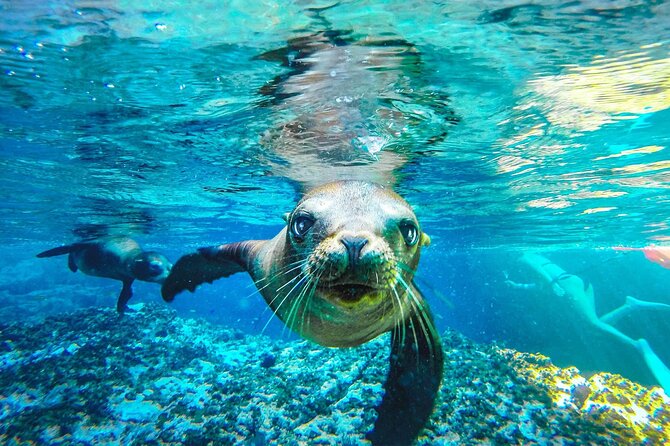 UNESCO World Heritage Site: 1 Day Coronado Island From Loreto Adventure - Key Points