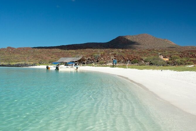 UNESCO World Heritage Site: 1 Day Coronado Island From Loreto Adventure - Important Information and Policies