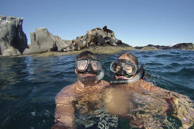 UNESCO World Heritage Site: 1 Day Coronado Island From Loreto Adventure - Wildlife and Natural Wonders