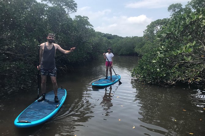 Unexplored Subtropical Mangrove Sap Experience on Ishigaki Island - Duration and Opening Hours