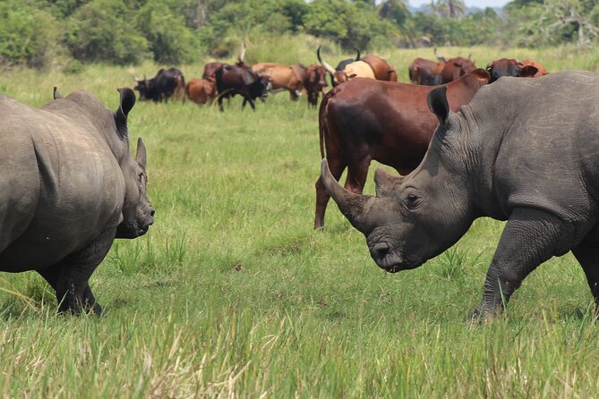 Unforgettable 3 Days Murchison Falls. - Included Amenities