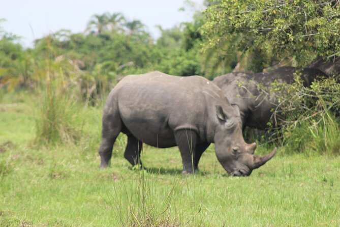 Unforgettable 3 Days Murchison Falls. - Booking and Cancellation