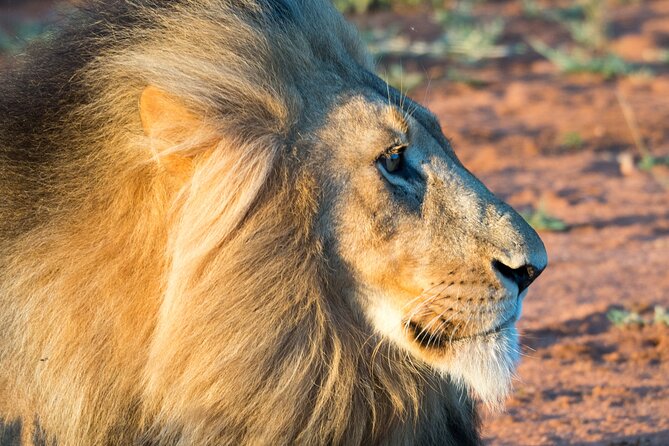 Unforgettable 4 Days Tanzania Private Budget Safari Tour - Itinerary