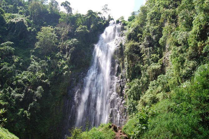 Unforgettable Arusha National Park Day Trip - Private Transportation and Pickup