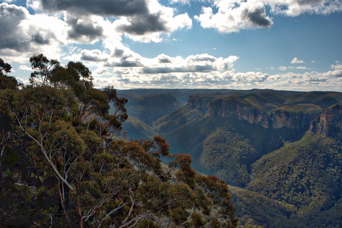 Unforgettable Blue Mountains Day Tour - Customer Feedback