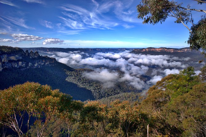Unforgettable Blue Mountains Day Tour - What to Expect