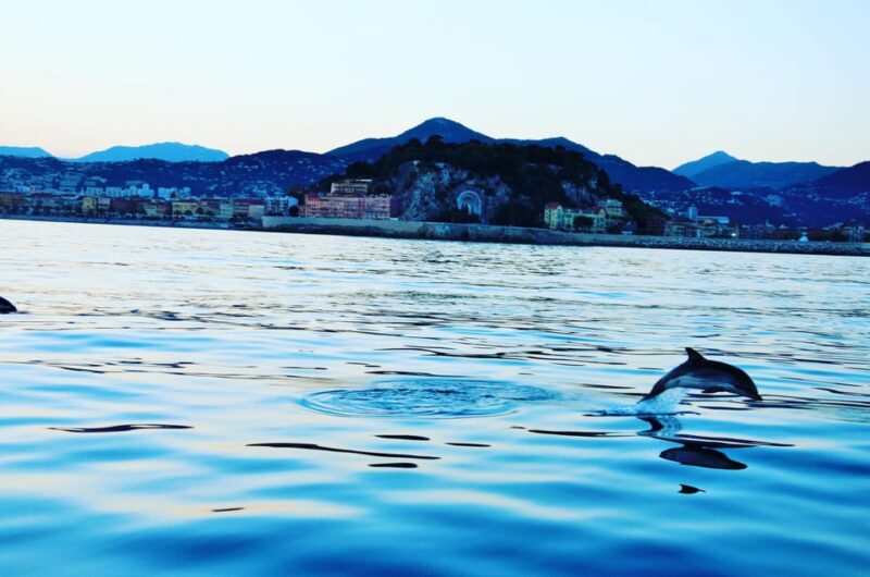 Unforgettable Boat Excursion - Departure and Itinerary