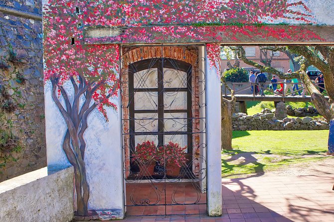Unforgettable Day Tour in Colonia Del Sacramento - Customer Feedback