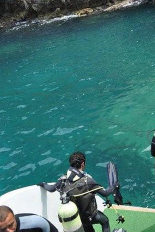 Unforgettable Diving Experience: From Beginners to Advanced - Key Points