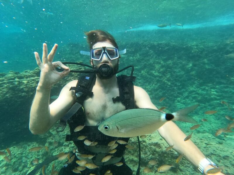 Unforgettable Diving Experience: From Beginners to Advanced - Transportation and Logistics