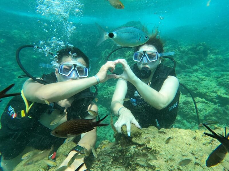 Unforgettable Diving Experience: From Beginners to Advanced - Participant Requirements