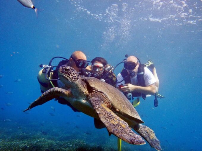 Unforgettable Diving Experience: From Beginners to Advanced - Suitable for All Levels